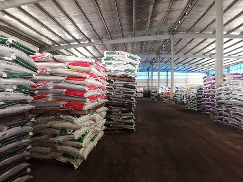 農(nóng)資準(zhǔn)備充分不誤春耕生產(chǎn)——市供銷社加大服務(wù)力度保障糧食市場(chǎng)穩(wěn)定