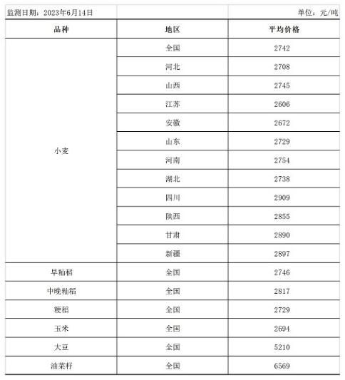 糧食市場迎來新發(fā)展趨勢，中方呼吁完善全球糧農(nóng)治理體系